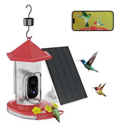 Smart Hummingbird Feeder with Camera